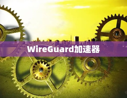 WireGuard加速器 WireGuard加速器