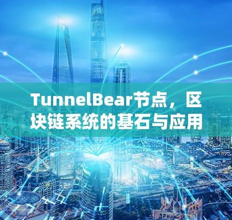 TunnelBear节点,区块链系统的基石与应用场景解析 TunnelBear节点,区块链系统的基石与应用场景解析