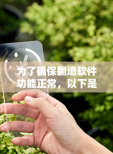 为了确保翻墙软件功能正常，以下是一步步的解决方案