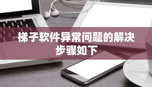 梯子软件异常问题的解决步骤如下 梯子软件异常问题的解决步骤如下