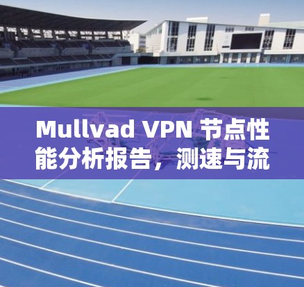 Mullvad VPN 节点性能分析报告,测速与流量数据的深度剖析 Mullvad VPN 节点性能分析报告,测速与流量数据的深度剖析