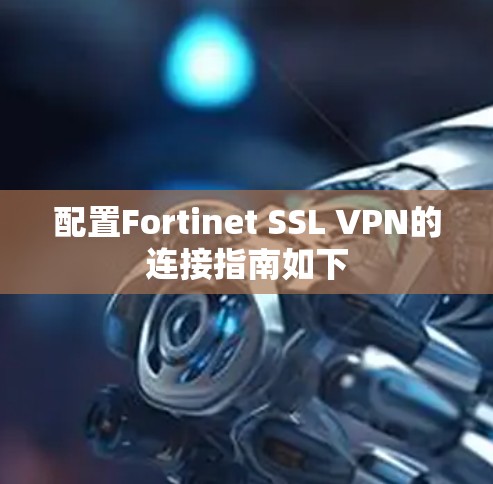 配置Fortinet SSL VPN的连接指南如下 配置Fortinet SSL VPN的连接指南如下
