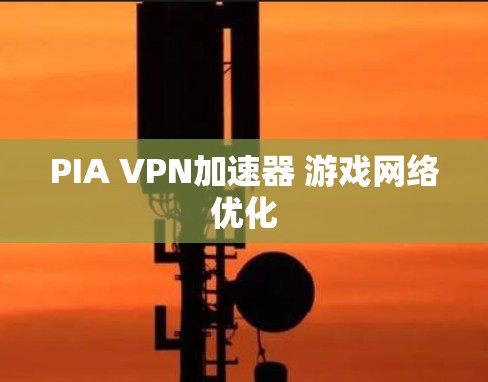 PIA VPN加速器 游戏网络优化 PIA VPN加速器 游戏网络优化