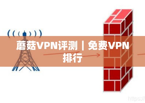 蘑菇VPN评测｜免费VPN排行