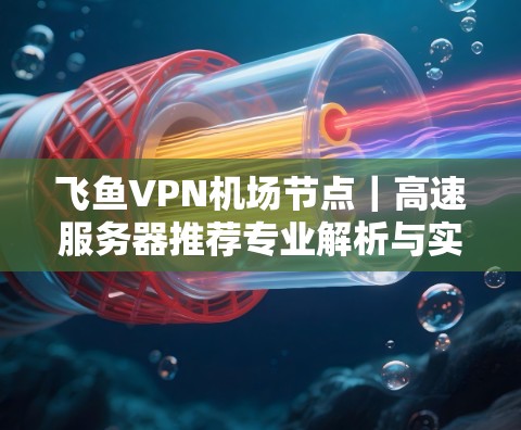 飞鱼VPN机场节点|高速服务器推荐专业解析与实用建议 飞鱼VPN机场节点|高速服务器推荐专业解析与实用建议