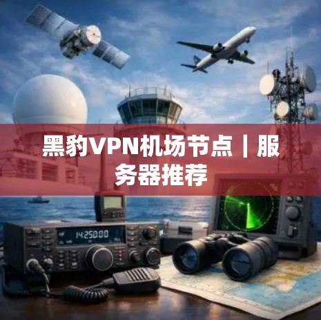 黑豹VPN机场节点|服务器推荐 黑豹VPN机场节点|服务器推荐