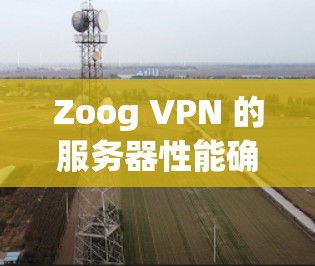 Zoog VPN 的服务器性能确实受到多种因素的影响,包括但不限于以下几个方面 Zoog VPN 的服务器性能确实受到多种因素的影响,包括但不限于以下几个方面