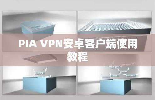 PIA VPN安卓客户端使用教程
