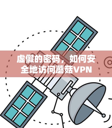 虚假的密码，如何安全地访问蘑菇VPN