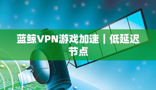 蓝鲸VPN游戏加速|低延迟节点 蓝鲸VPN游戏加速|低延迟节点