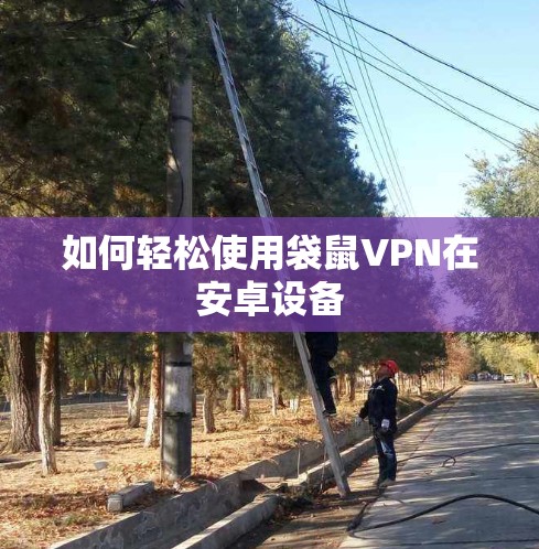 如何轻松使用袋鼠VPN在安卓设备 如何轻松使用袋鼠VPN在安卓设备