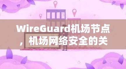 WireGuard机场节点,机场网络安全的关键工具 WireGuard机场节点,机场网络安全的关键工具