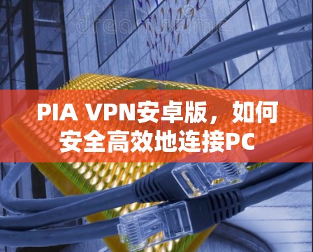PIA VPN安卓版,如何安全高效地连接PC PIA VPN安卓版,如何安全高效地连接PC