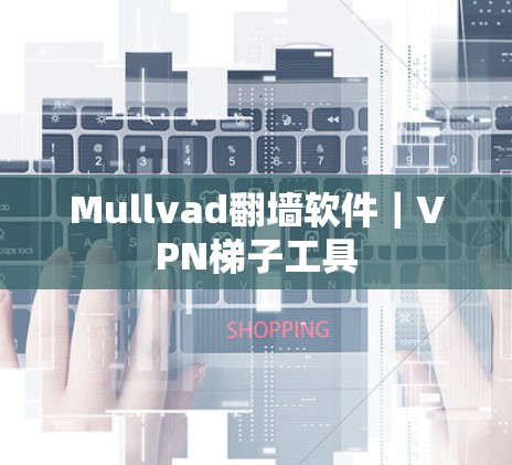 Mullvad翻墙软件|VPN梯子工具 Mullvad翻墙软件|VPN梯子工具