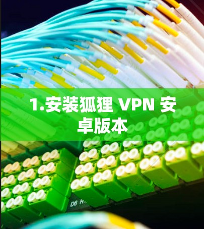 1.安装狐狸 VPN 安卓版本