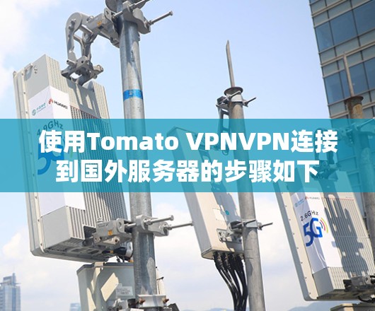 使用Tomato VPNVPN连接到国外服务器的步骤如下 使用Tomato VPNVPN连接到国外服务器的步骤如下