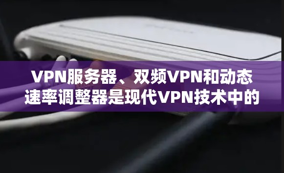 VPN服务器、双频VPN和动态速率调整器是现代VPN技术中的关键组件，它们各自扮演着不同的角色，共同提升了VPN的稳定性和可靠性。以下是对这些技术的详细解释