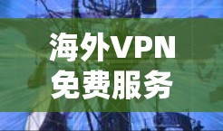 海外VPN免费服务确实存在,但需要满足一定的条件和认证。以下是一些常见的免费海外VPN选项 海外VPN免费服务确实存在,但需要满足一定的条件和认证。以下是一些常见的免费海外VPN选项