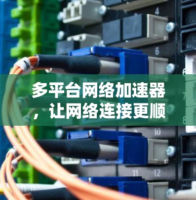 多平台网络加速器,让网络连接更顺畅,让生活更便捷! 多平台网络加速器,让网络连接更顺畅,让生活更便捷!