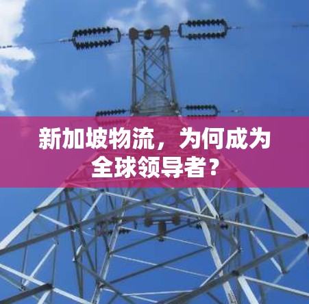 新加坡物流,为何成为全球领导者? 新加坡物流,为何成为全球领导者?