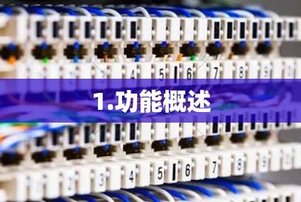 1.功能概述 1.功能概述