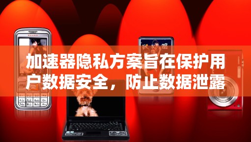 加速器隐私方案旨在保护用户数据安全，防止数据泄露和隐私侵犯。以下是对加速器隐私方案的详细分析