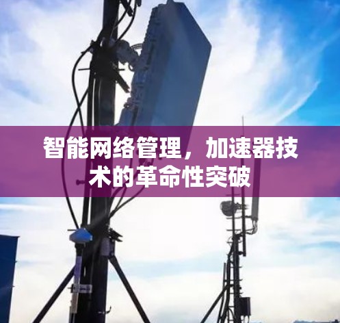 智能网络管理，加速器技术的革命性突破