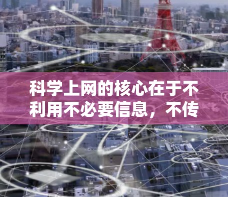 科学上网的核心在于不利用不必要信息，不传播虚假信息，并保护自身安全。以下是对科学上网的详细分析和应对策略
