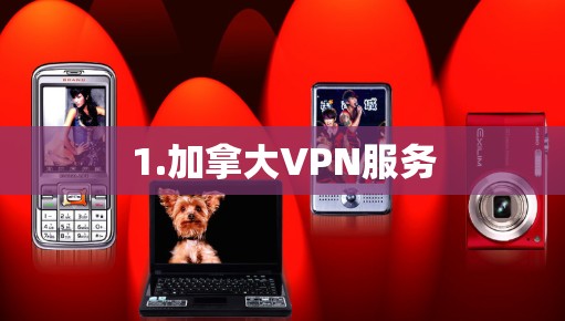 1.加拿大VPN服务 1.加拿大VPN服务