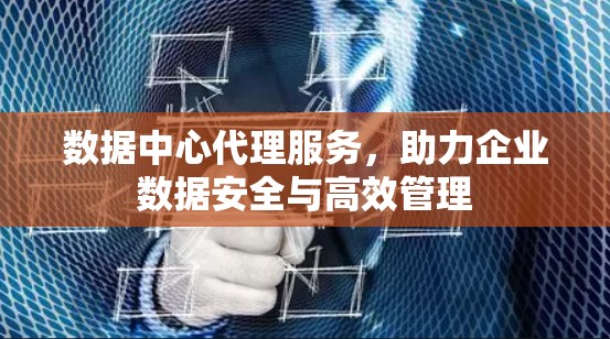 数据中心代理服务,助力企业数据安全与高效管理 数据中心代理服务,助力企业数据安全与高效管理