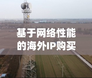 基于网络性能的海外IP购买指南，选择Why？