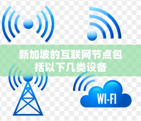 新加坡的互联网节点包括以下几类设备