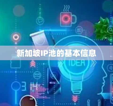 新加坡IP池的基本信息