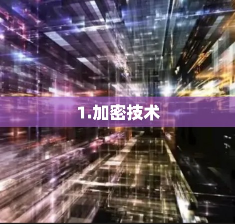 1.加密技术 1.加密技术
