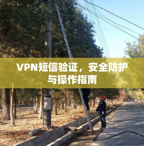 VPN短信验证,安全防护与操作指南 VPN短信验证,安全防护与操作指南