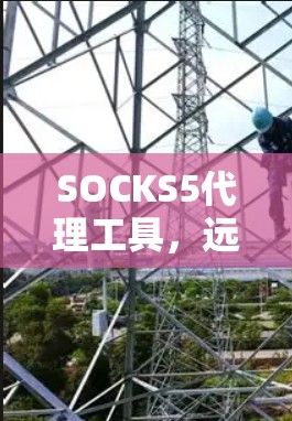 SOCKS5代理工具,远程办公的新宠,值得为您的企业点赞! SOCKS5代理工具,远程办公的新宠,值得为您的企业点赞!
