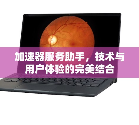 加速器服务助手,技术与用户体验的完美结合 加速器服务助手,技术与用户体验的完美结合