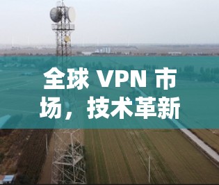 全球 VPN 市场，技术革新与应用机遇