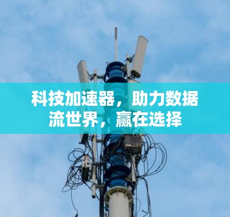科技加速器,助力数据流世界,赢在选择 科技加速器,助力数据流世界,赢在选择