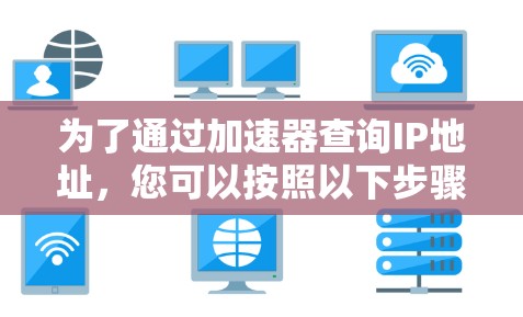 为了通过加速器查询IP地址，您可以按照以下步骤操作