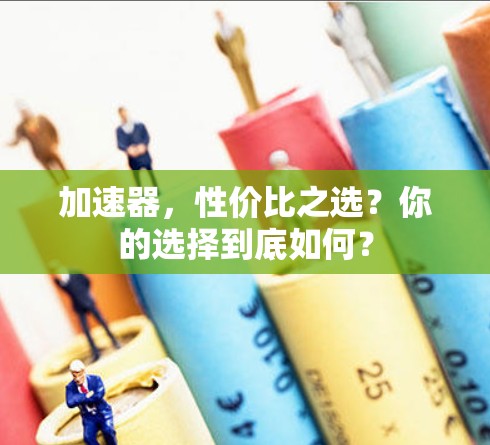加速器,性价比之选?你的选择到底如何? 加速器,性价比之选?你的选择到底如何?