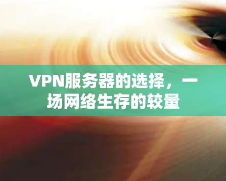 VPN服务器的选择,一场网络生存的较量 VPN服务器的选择,一场网络生存的较量