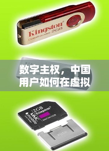 数字主权,中国用户如何在虚拟现实和虚拟现实中享受跨国连接 数字主权,中国用户如何在虚拟现实和虚拟现实中享受跨国连接