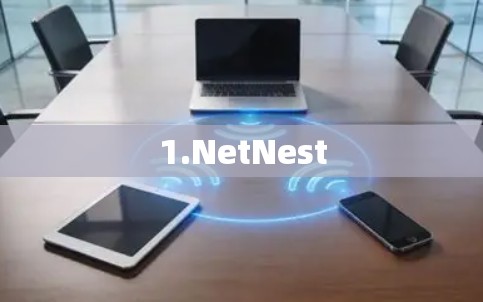 1.NetNest 1.NetNest