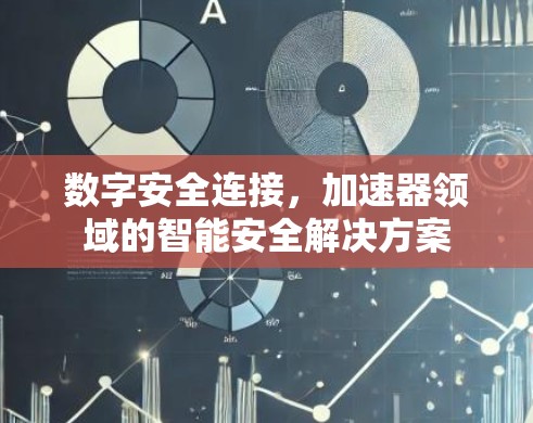 数字安全连接,加速器领域的智能安全解决方案 数字安全连接,加速器领域的智能安全解决方案